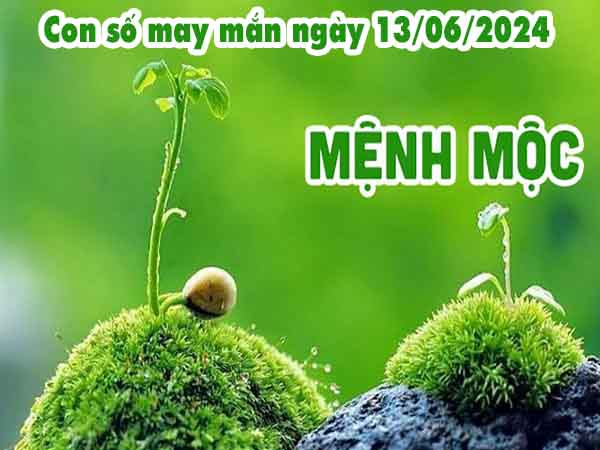 Phân tích con số may mắn người mệnh Mộc ngày 13/6/2024 thứ 5 hôm nay