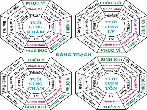 Gia chủ tuổi nào hợp với nhà hướng tây nam?