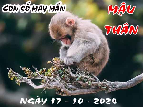 Phân tích cặp số đẹp tuổi Mậu Thân ngày 17/10/2024 thứ 5